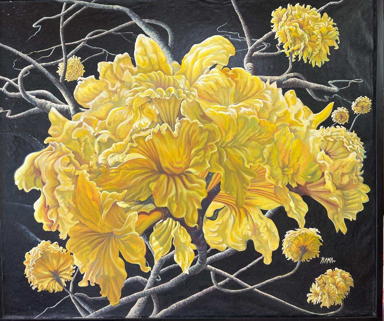 Flor de Colombia — Araguaney
