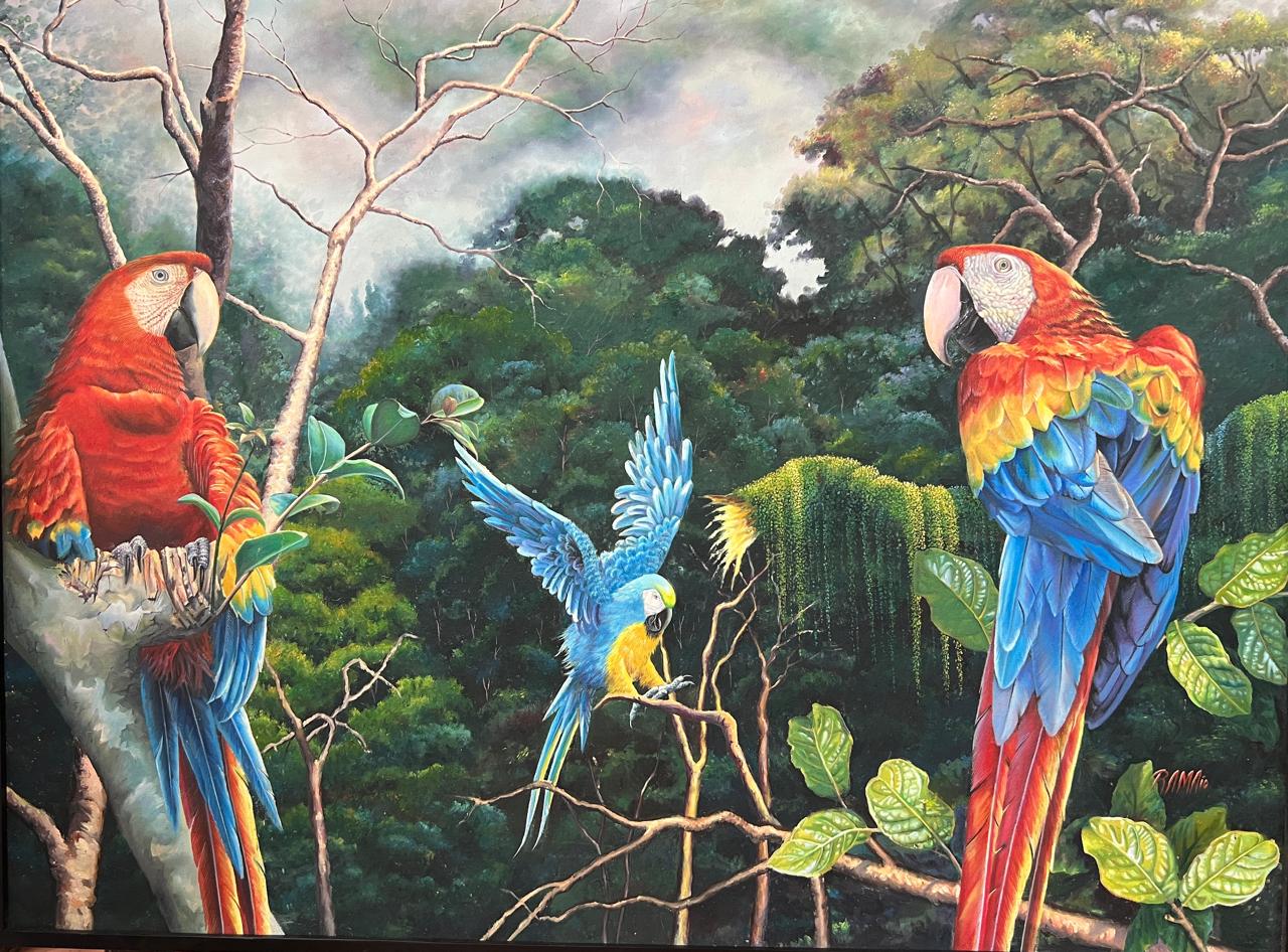 Guacamayas