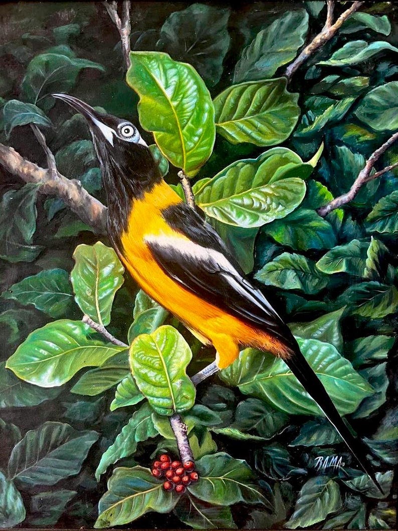 Pintura al óleo de ave tropical
