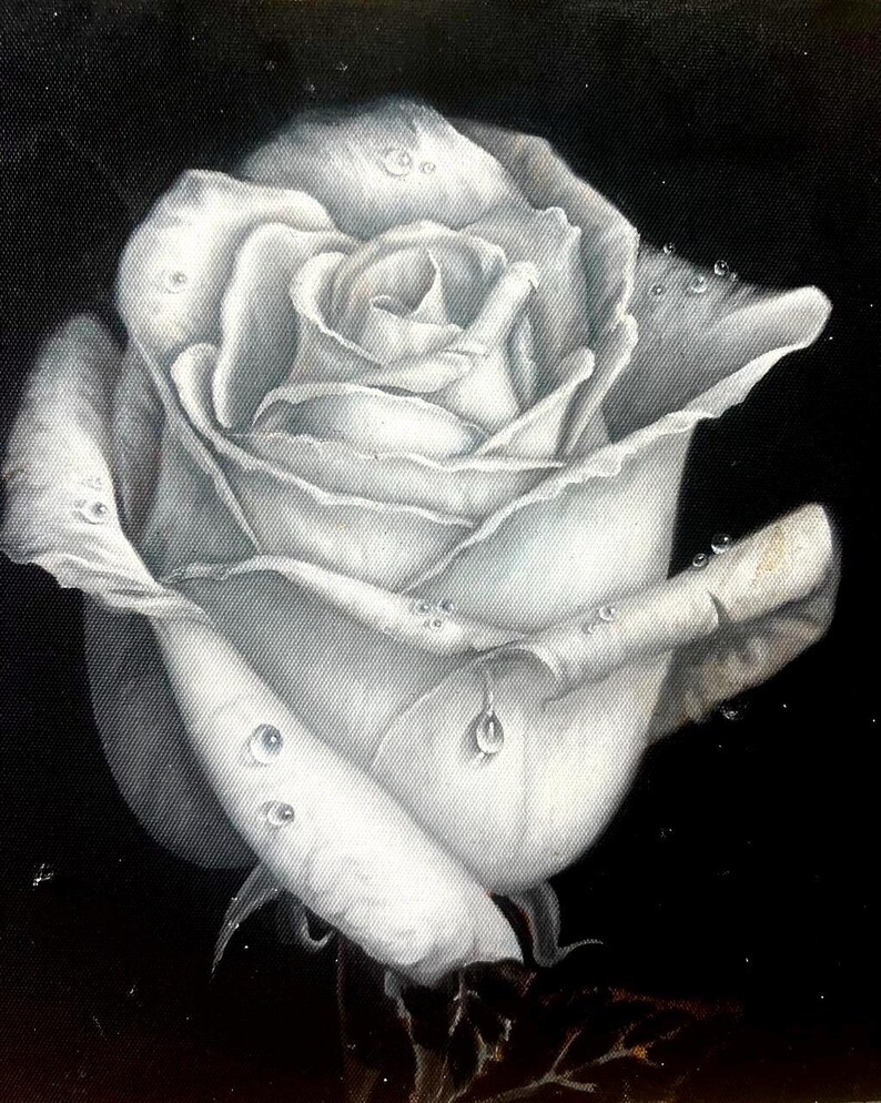 Rosa Blanca